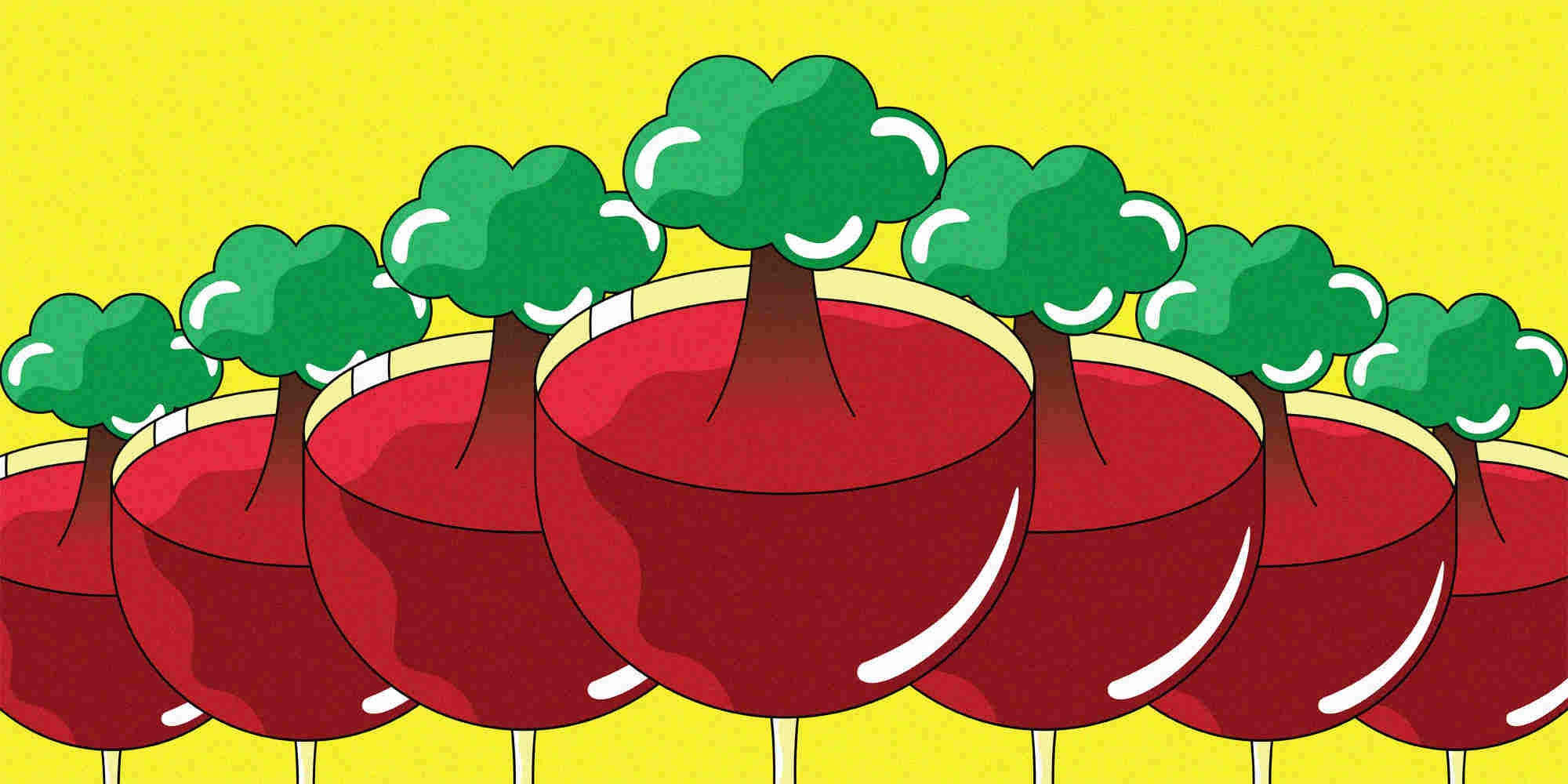 桶背后：为什么在酿酒中挑选合适的树很重要