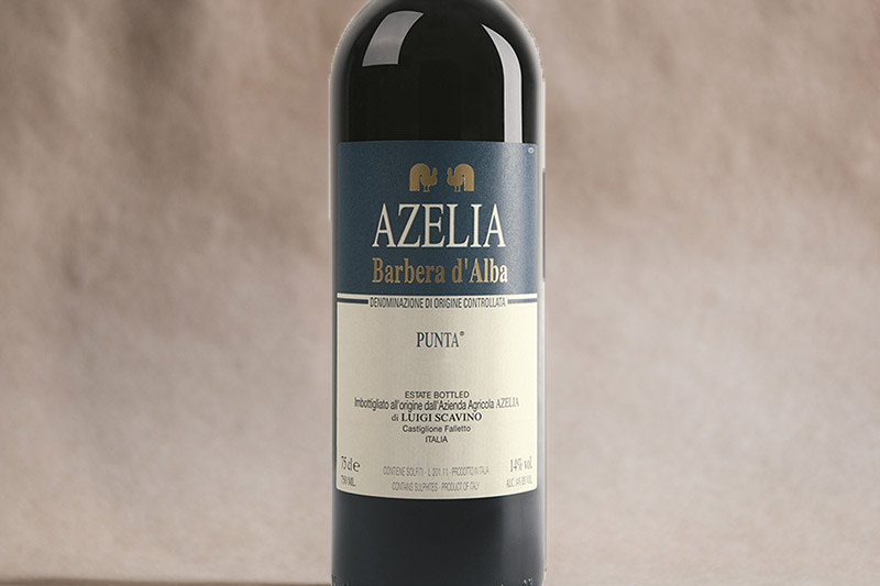 azalia-wine-punta.jpg
